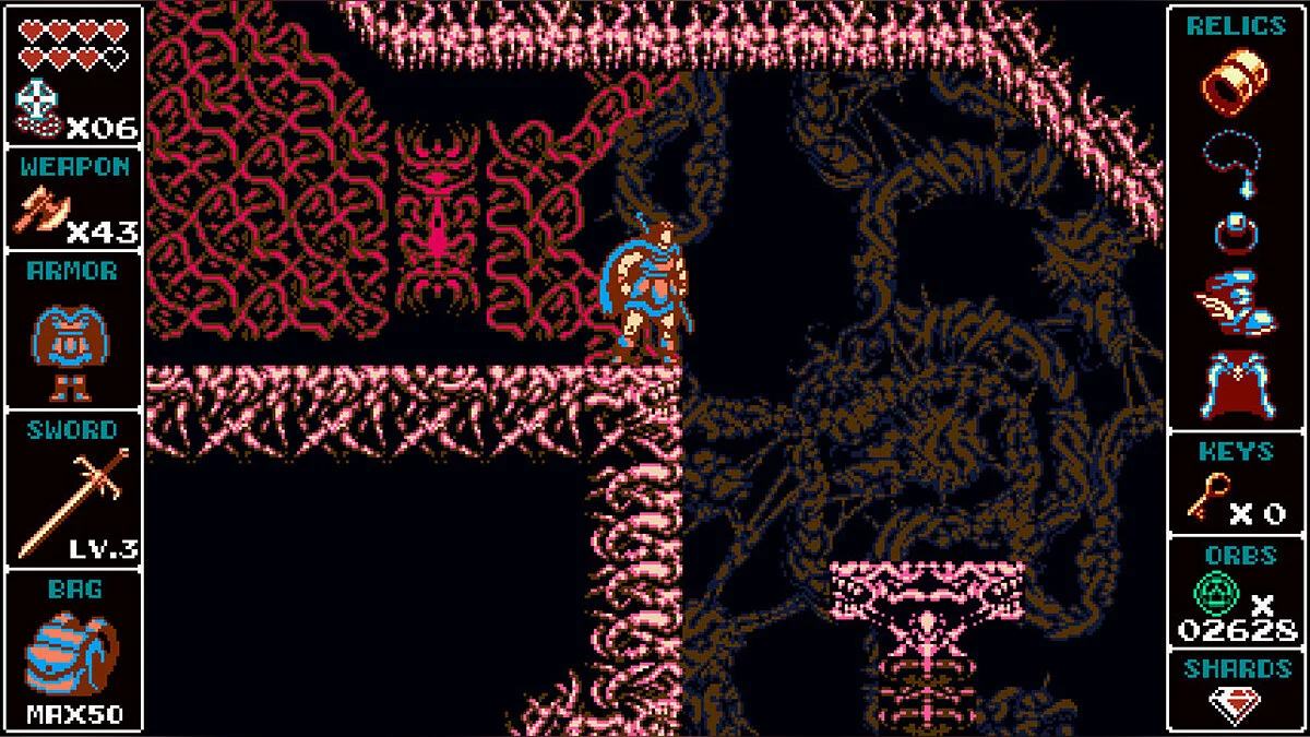 Скриншоты из Odallus: The Dark Call / Картинка 26