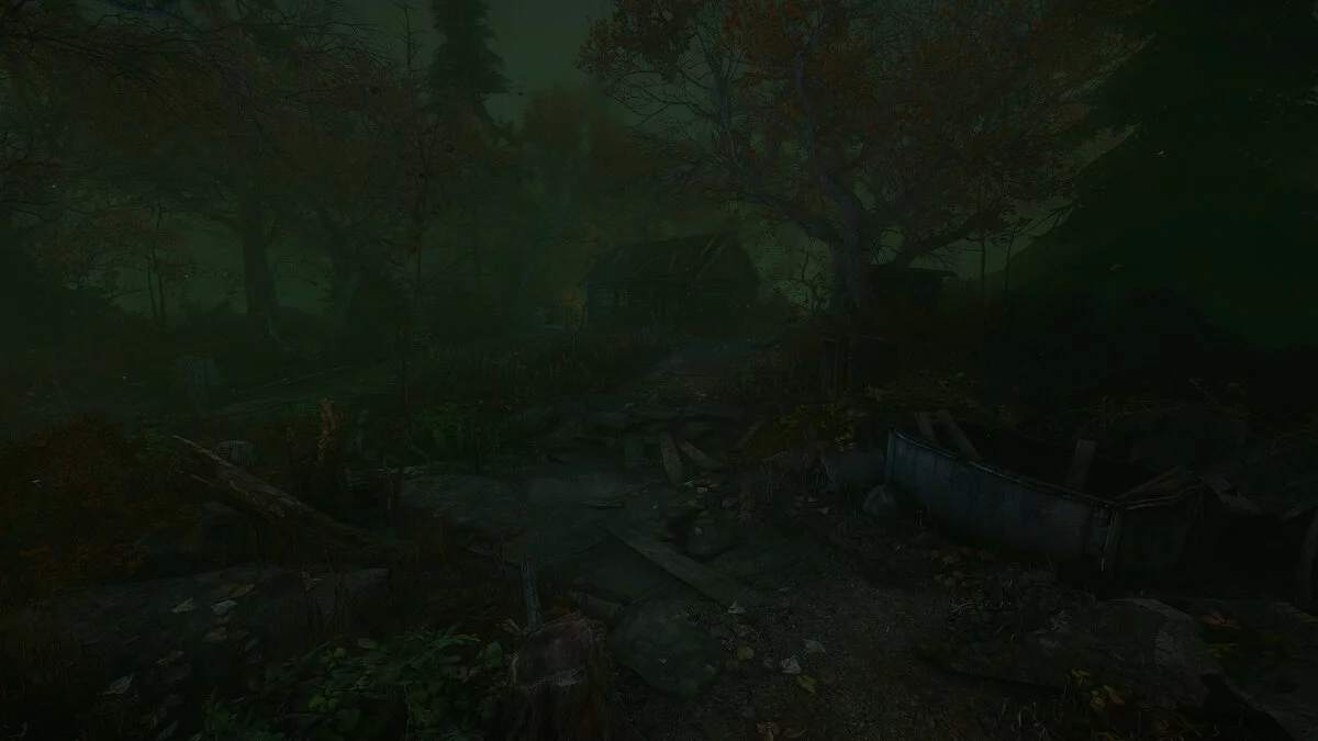 Скриншоты из The Cursed Forest / Картинка 7