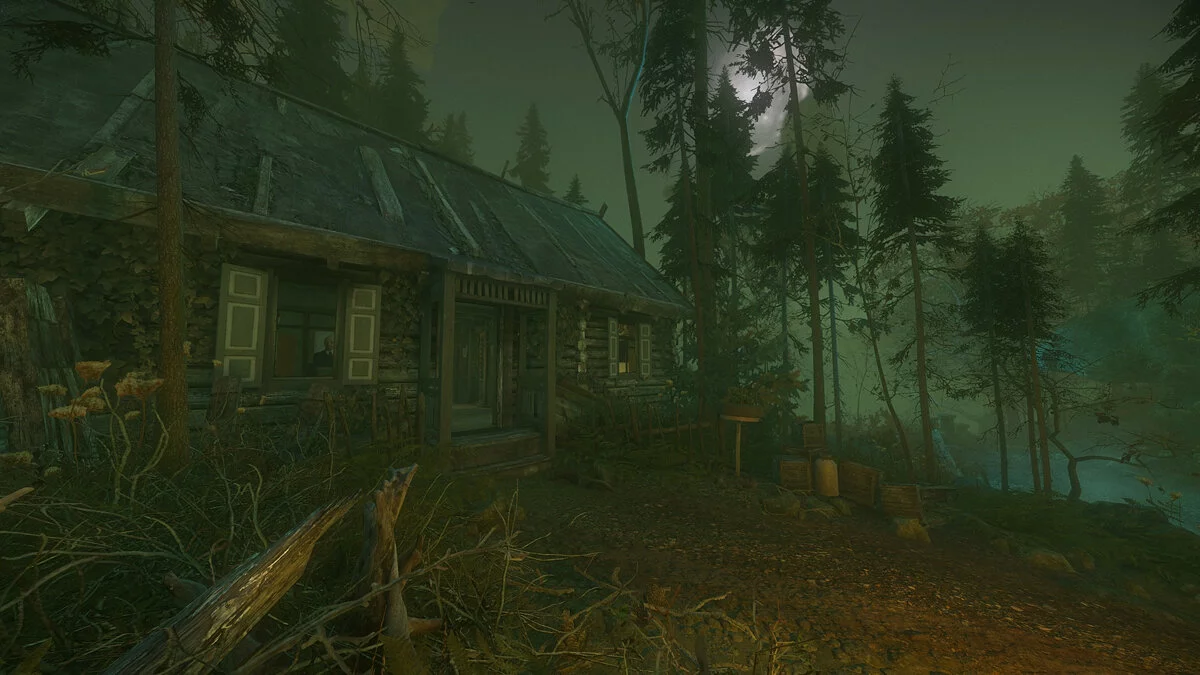 Скриншоты из The Cursed Forest / Картинка 12