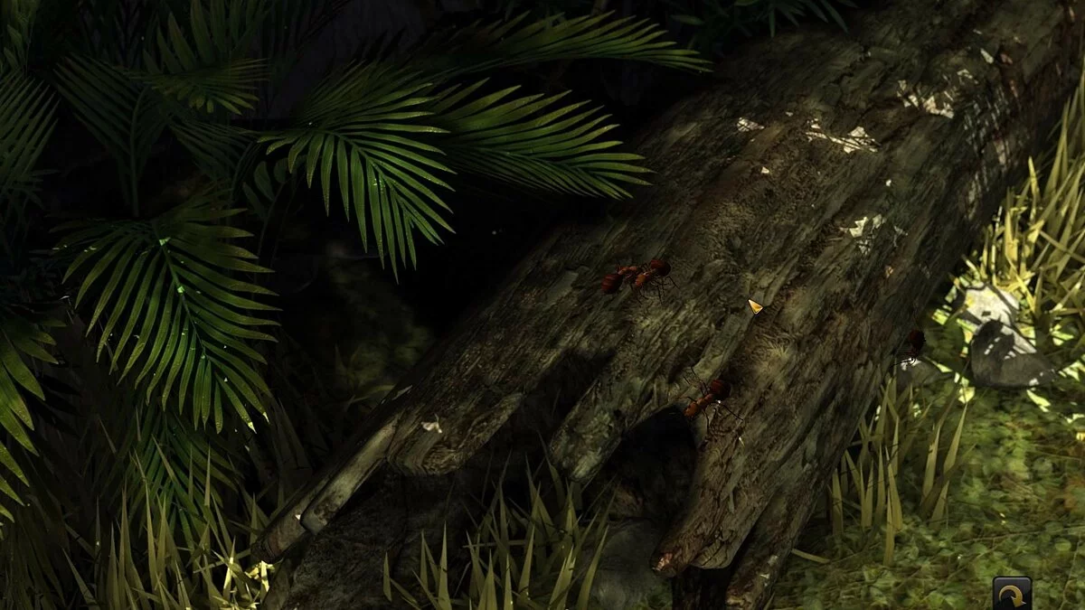 Картинка из 