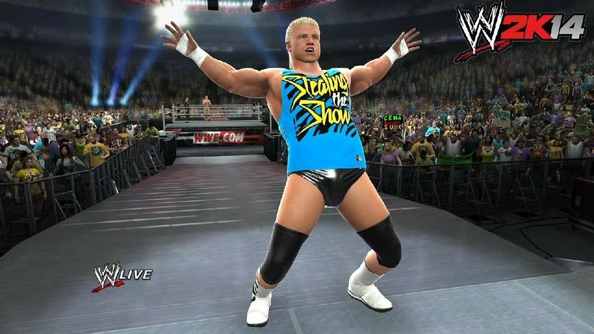 Скриншоты из WWE 2K14 / Картинка 64