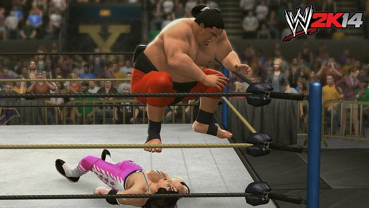 Скриншоты из WWE 2K14 / Картинка 22