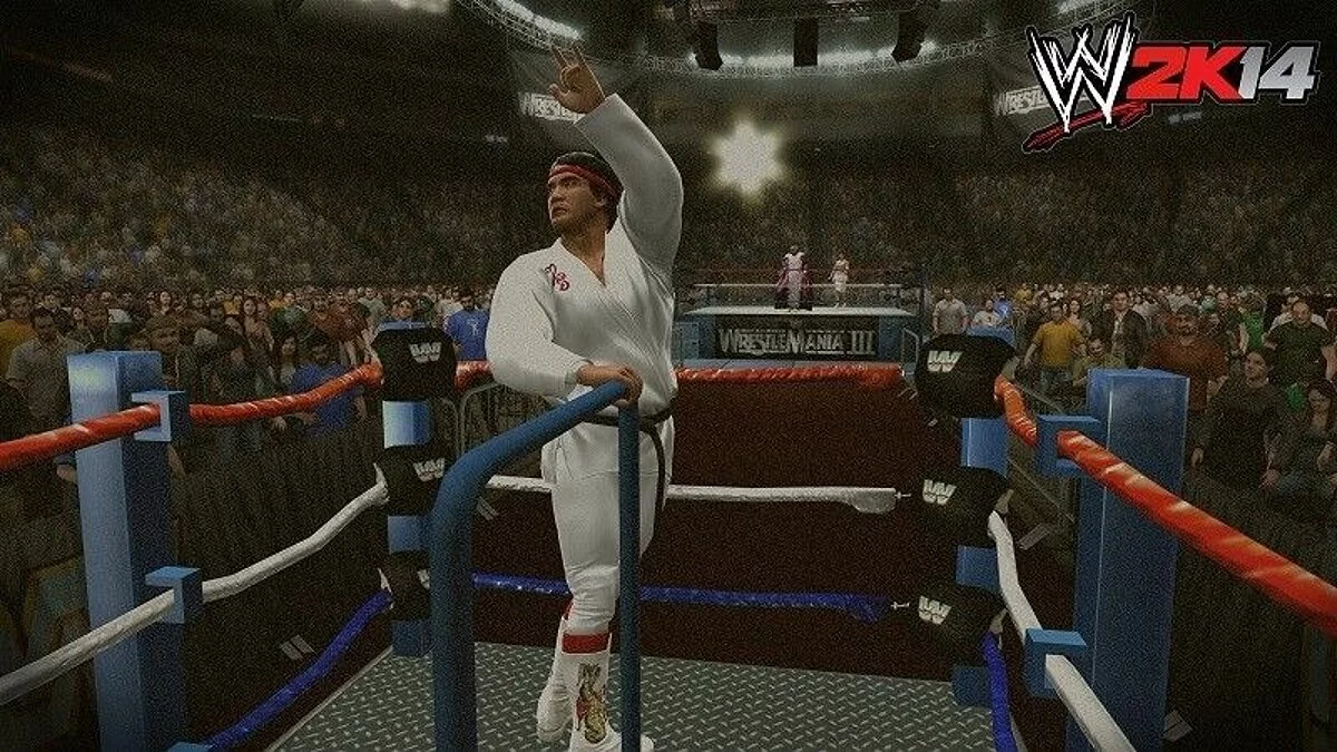 Скриншоты из WWE 2K14 / Картинка 12
