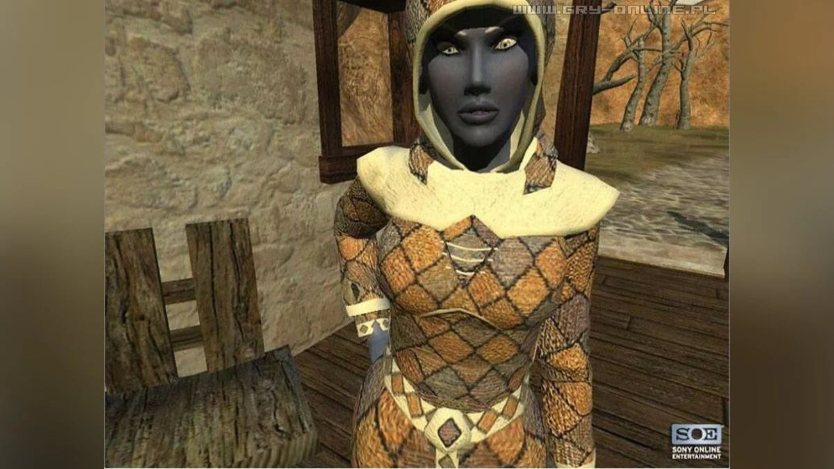 Скриншоты из Everquest 2 / Картинка 177