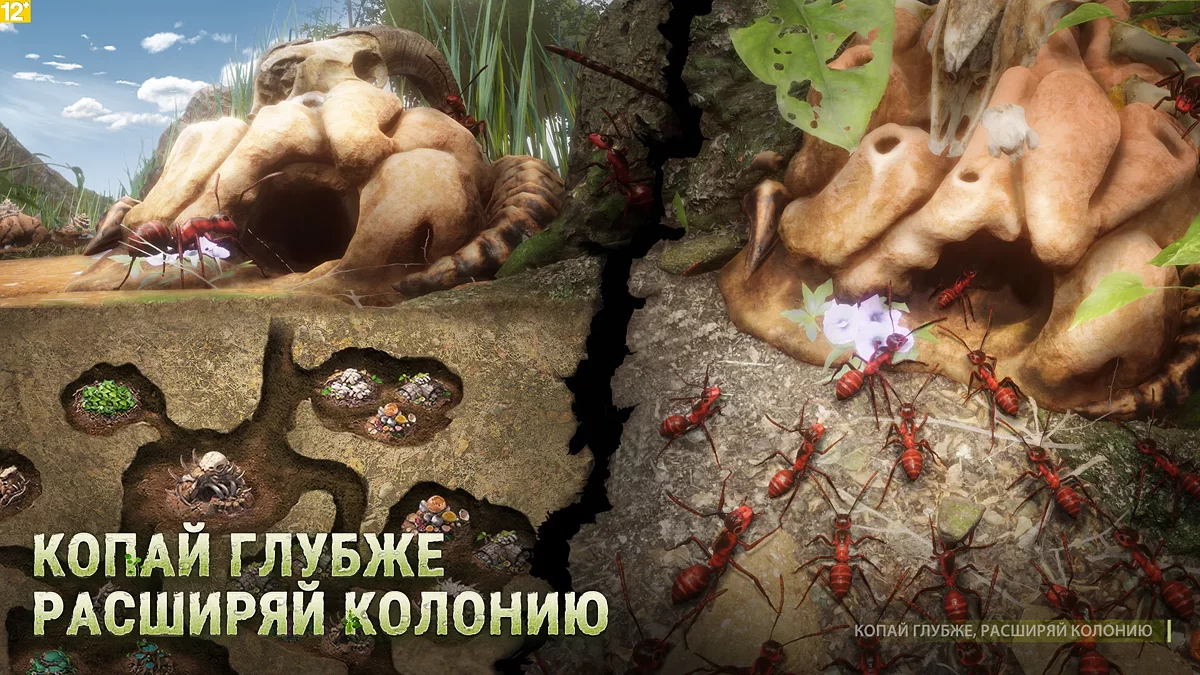 Картинка из 
