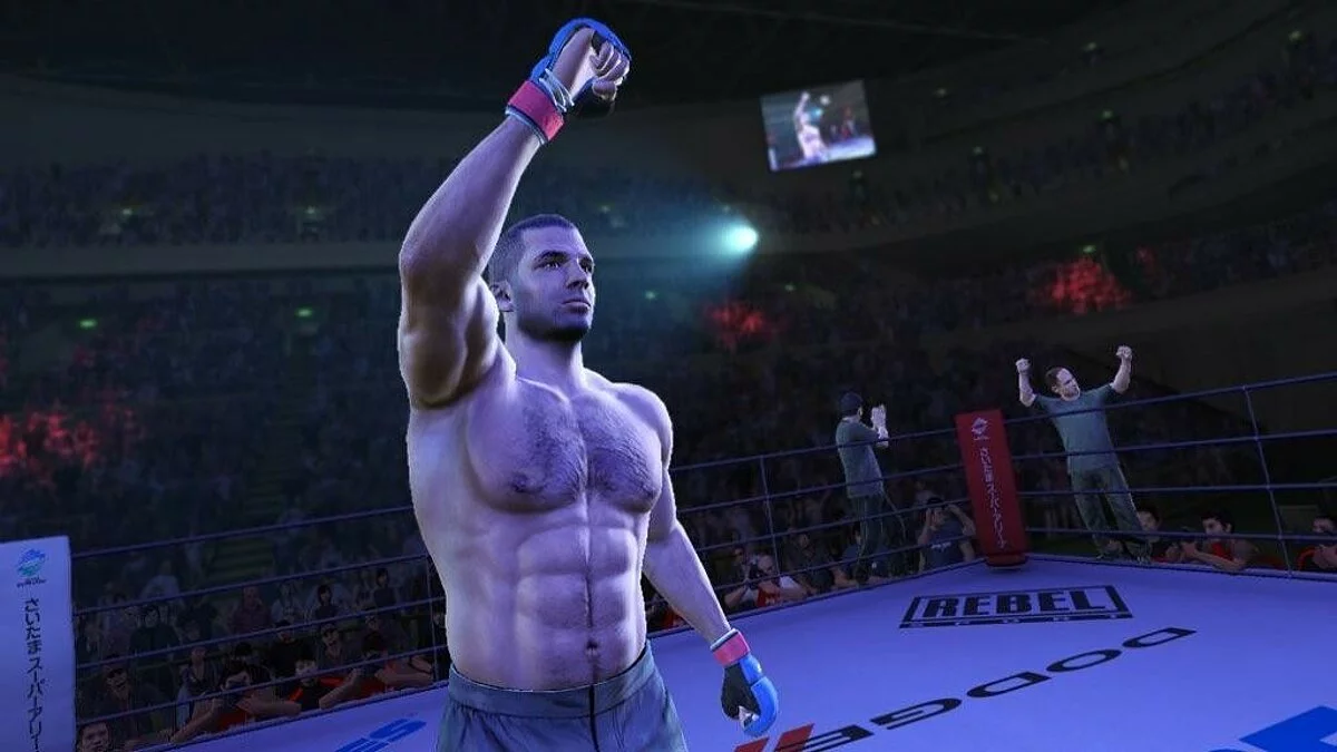 Скриншоты из UFC Undisputed 3 / Картинка 33