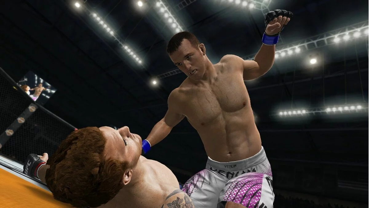 Скриншоты из UFC Undisputed 3 / Картинка 15