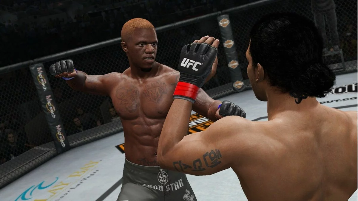 Скриншоты из UFC Undisputed 3 / Картинка 17