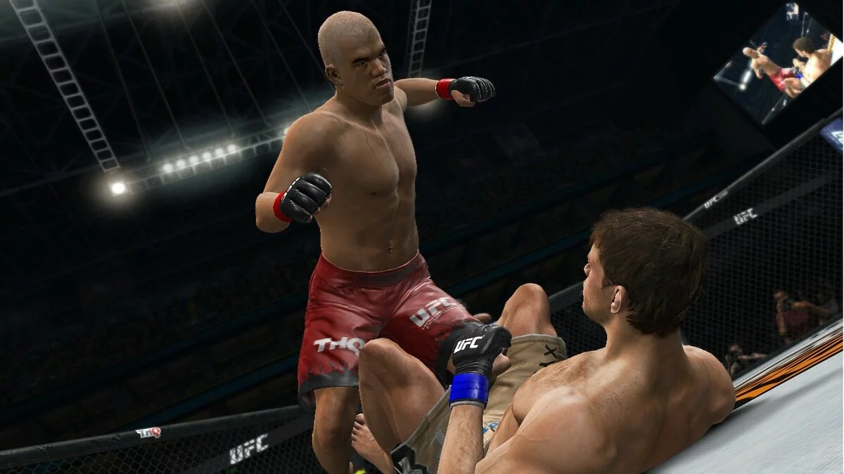 Скриншоты из UFC Undisputed 3 / Картинка 26