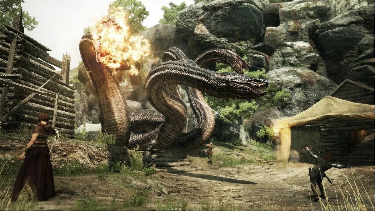 Скриншоты из Dragon's Dogma / Картинка 35