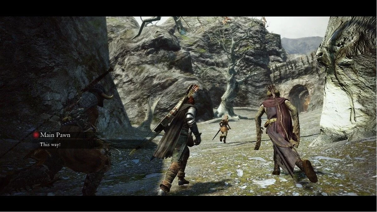 Скриншоты из Dragon's Dogma / Картинка 39
