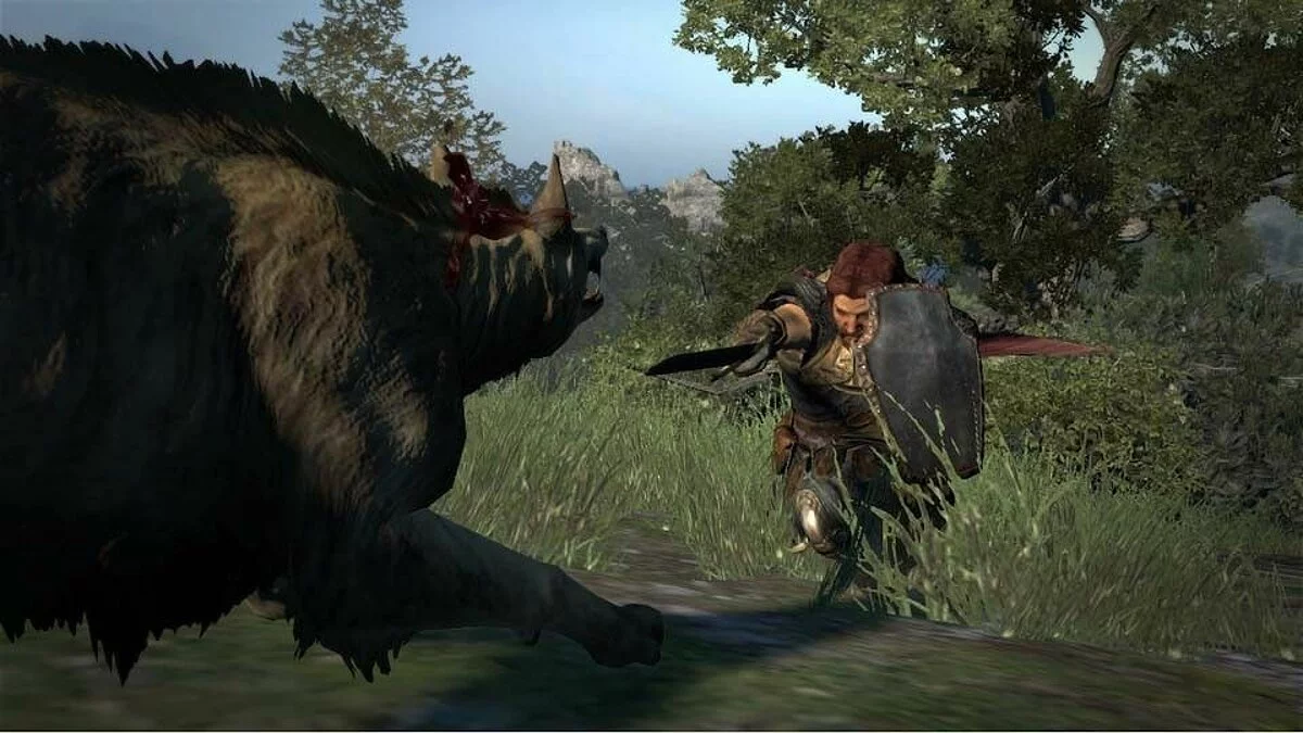 Скриншоты из Dragon's Dogma / Картинка 62