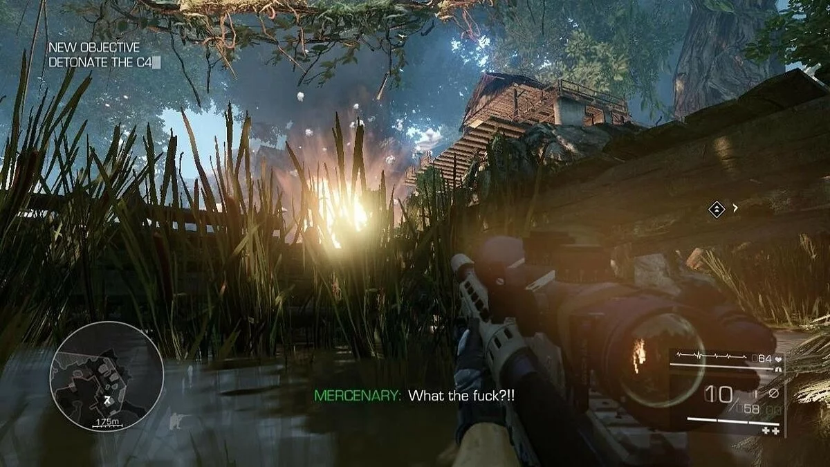 Скриншоты из Sniper: Ghost Warrior 2 / Картинка 110
