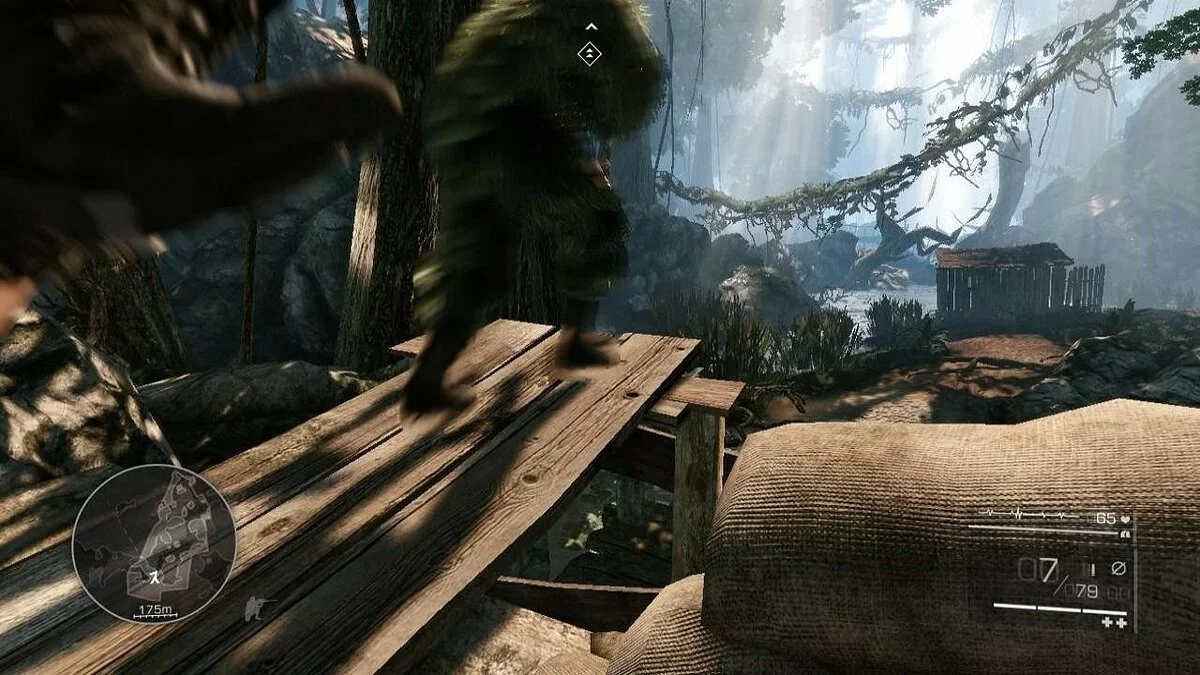 Скриншоты из Sniper: Ghost Warrior 2 / Картинка 119