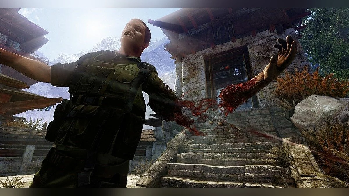 Скриншоты из Sniper: Ghost Warrior 2 / Картинка 31