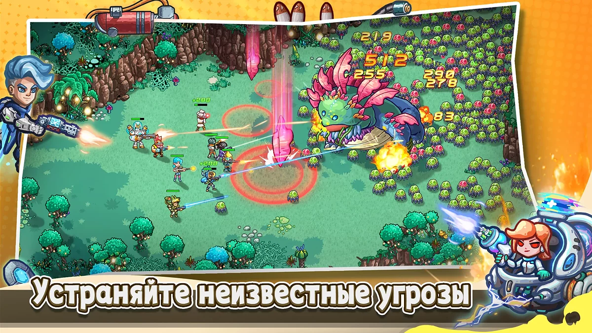 Картинка из 