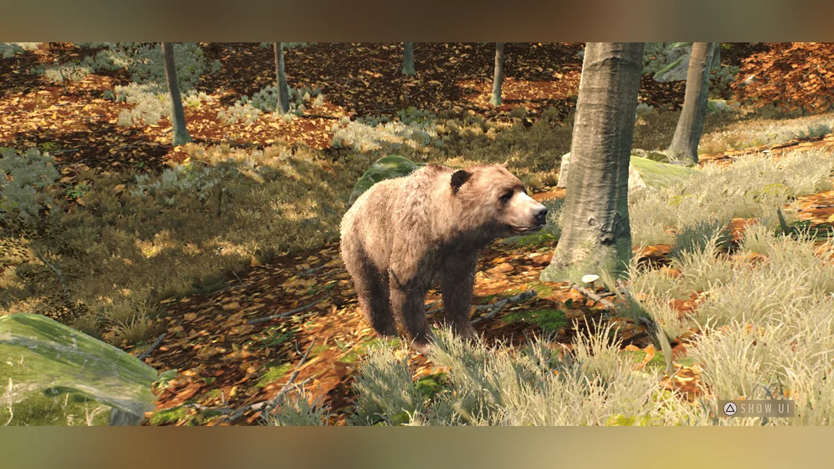 Скриншоты из Way of the Hunter Wild Europe