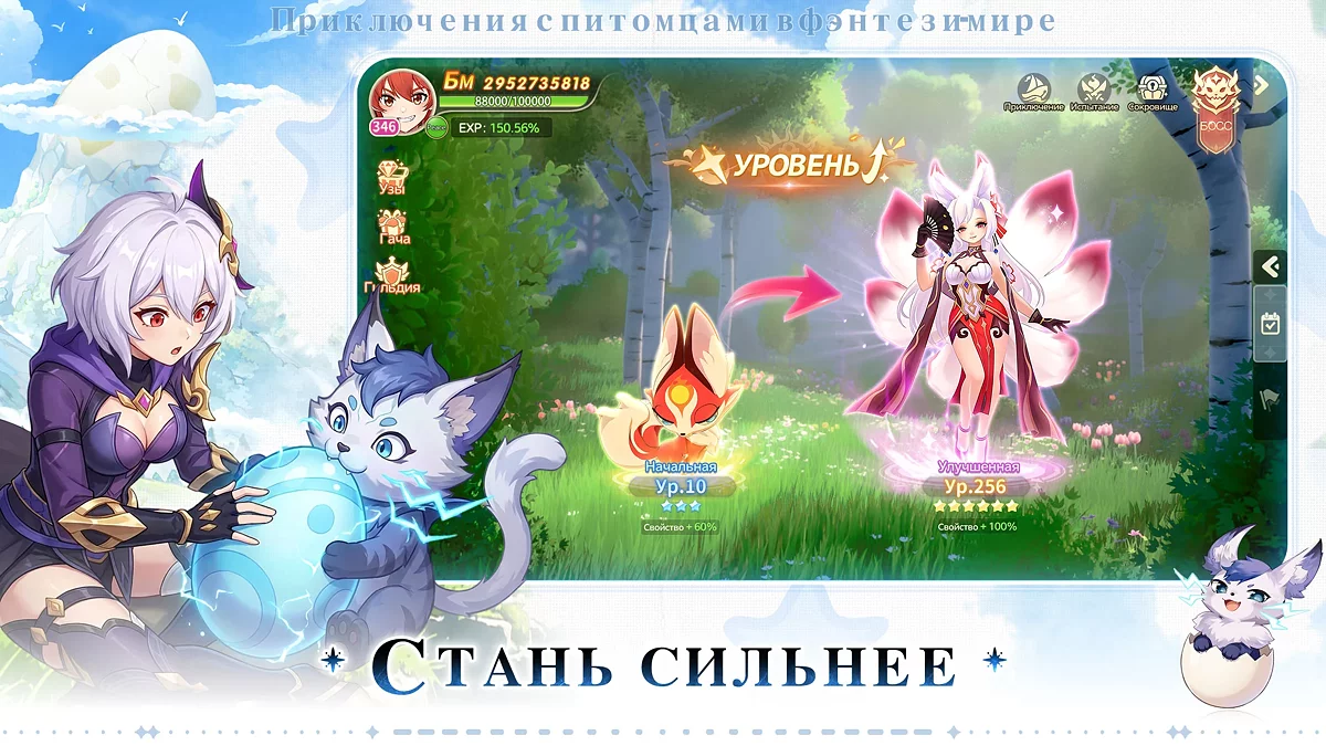 Картинка из 