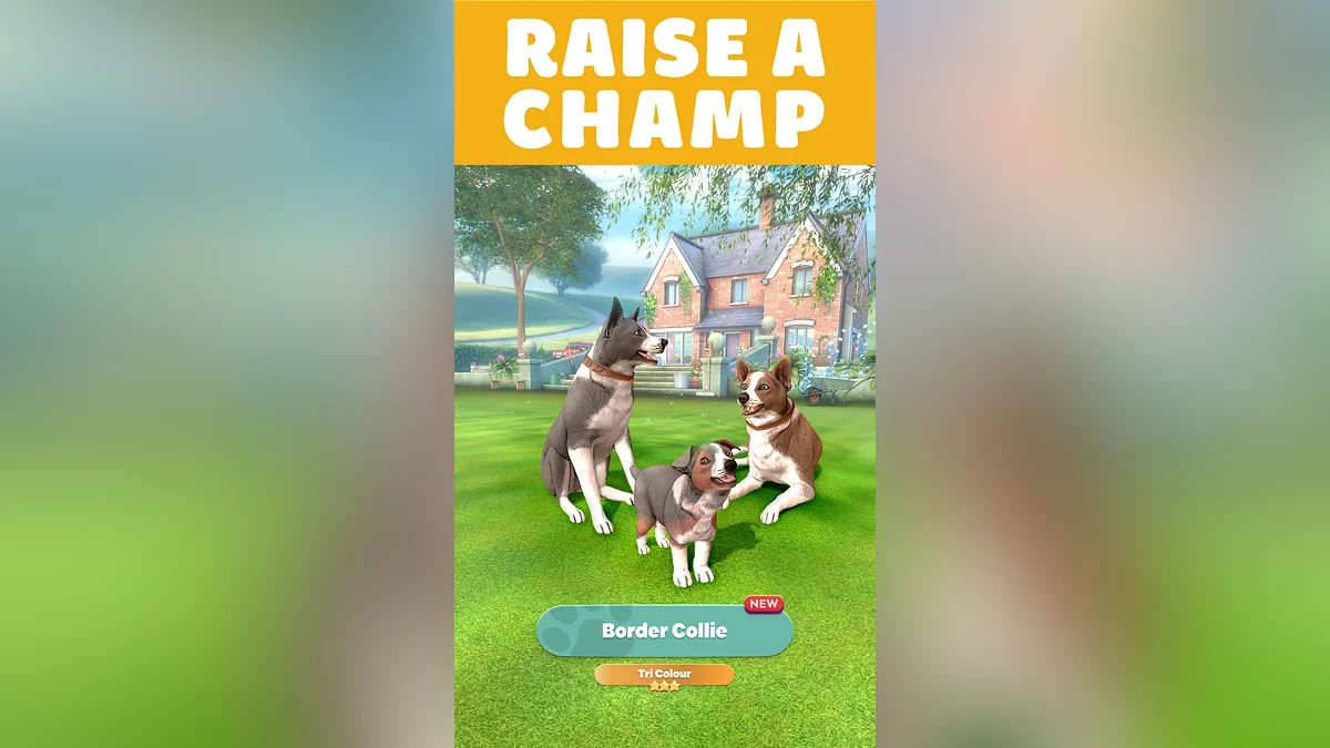 Скриншоты из Pocket Paws: My Lovely Dogs