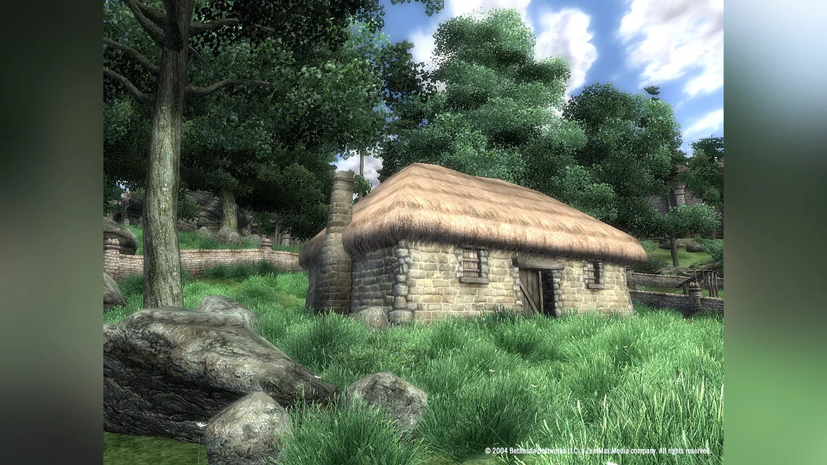 Скриншоты из The Elder Scrolls 4: Oblivion / Картинка 47