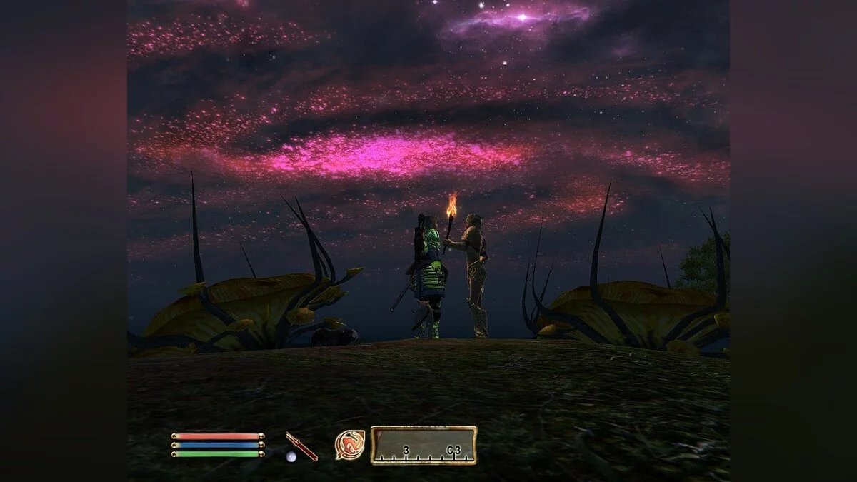 Скриншоты из The Elder Scrolls 4: Oblivion / Картинка 15