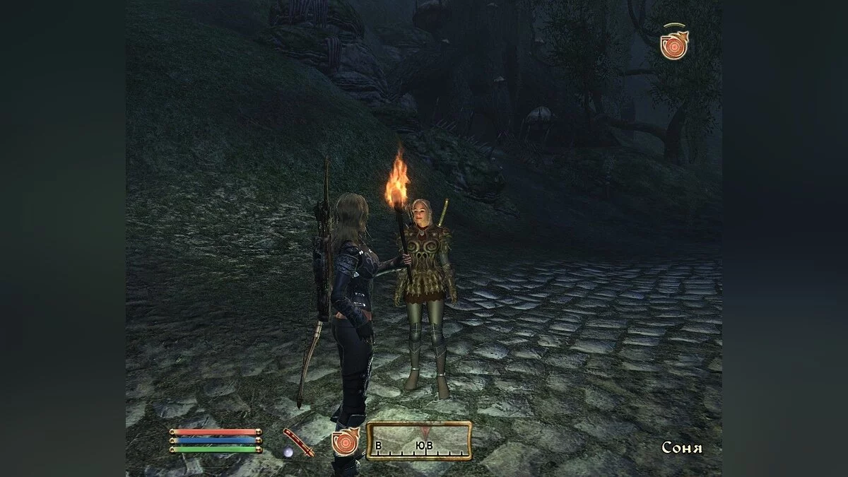 Скриншоты из The Elder Scrolls 4: Oblivion / Картинка 16