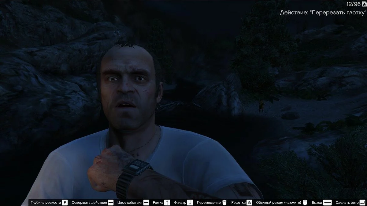 Скриншоты из GTA 5 / Картинка 732
