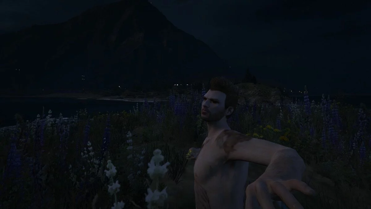 Скриншоты из GTA 5 / Картинка 832