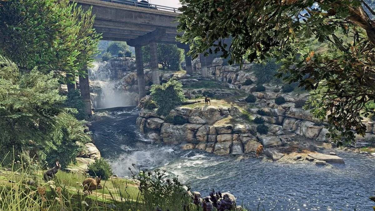 Скриншоты из GTA 5 / Картинка 521