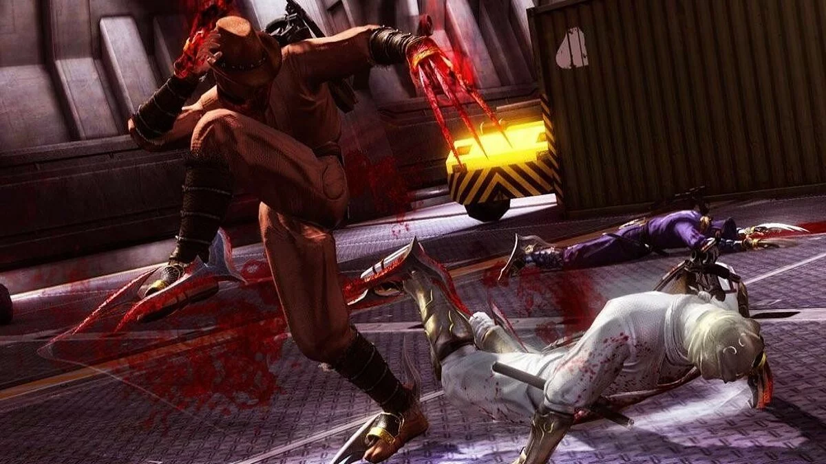 Скриншоты из Ninja Gaiden 3 / Картинка 200