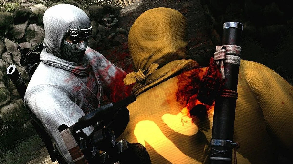 Скриншоты из Ninja Gaiden 3 / Картинка 22