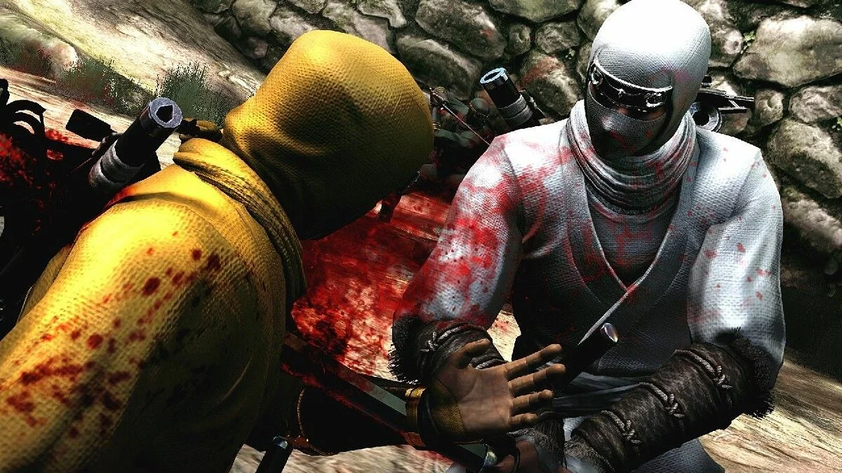 Скриншоты из Ninja Gaiden 3 / Картинка 23