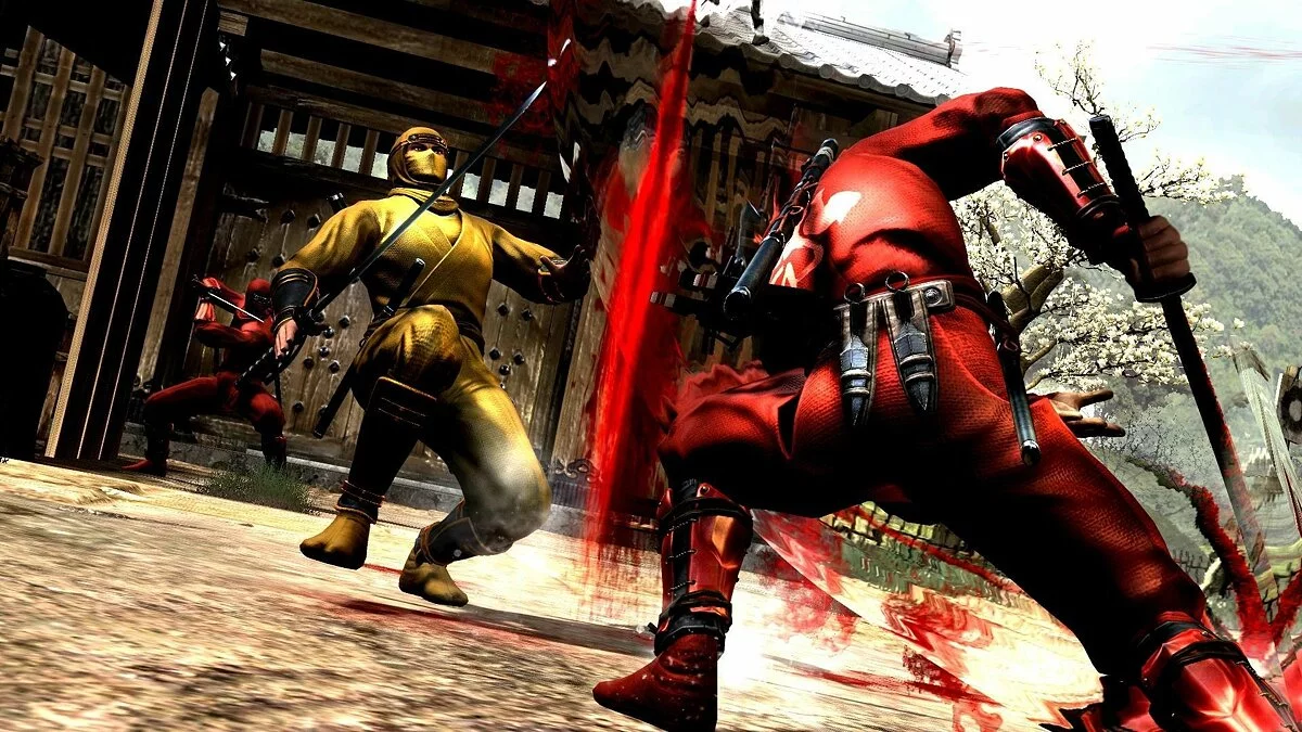 Скриншоты из Ninja Gaiden 3 / Картинка 63