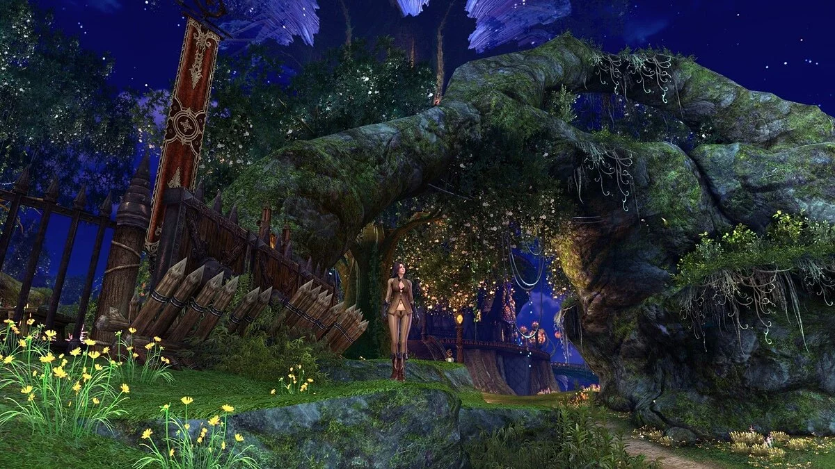 Скриншоты из TERA / Картинка 79