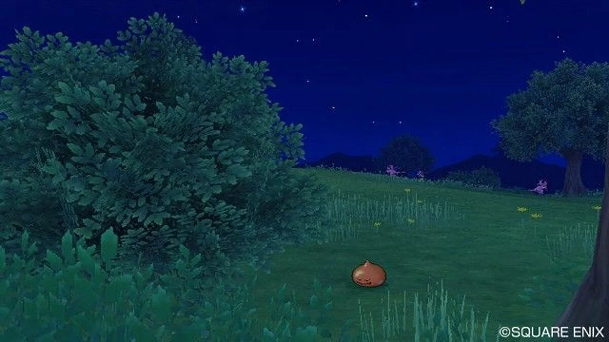 Скриншоты из Dragon Quest 10 / Картинка 130