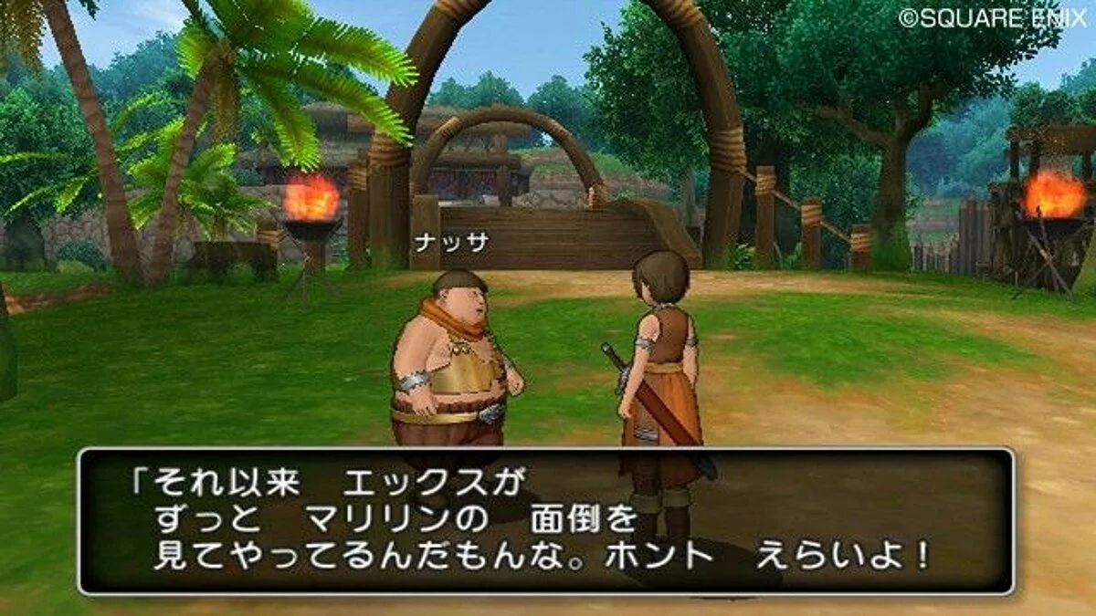Скриншоты из Dragon Quest 10 / Картинка 51