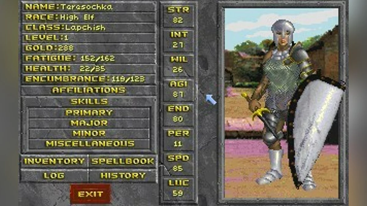 Скриншоты из Elder Scrolls 2: Daggerfall / Картинка 16