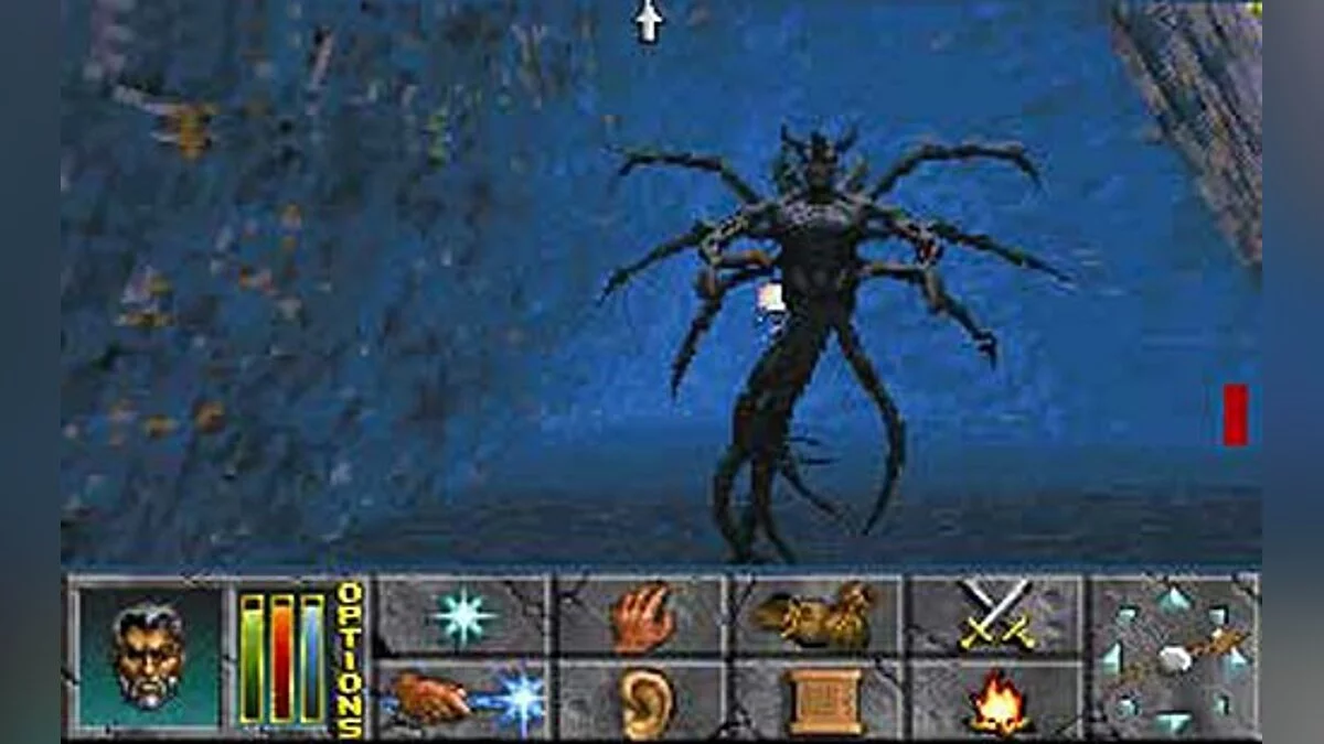 Скриншоты из Elder Scrolls 2: Daggerfall / Картинка 57