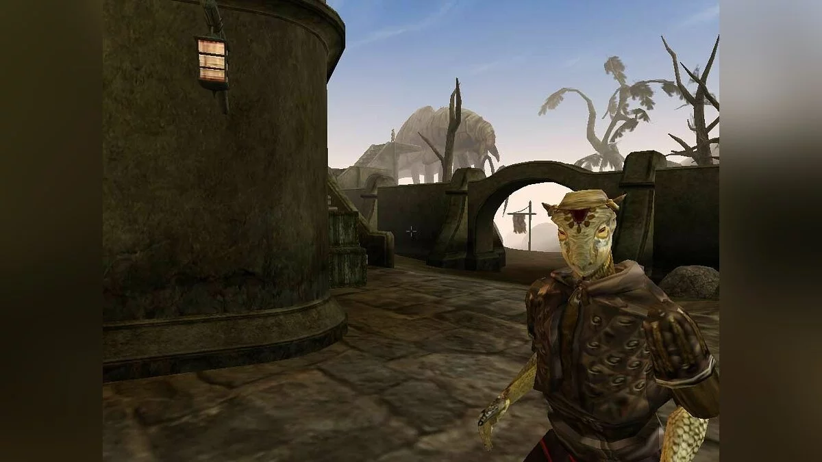 Скриншоты из Elder Scrolls 3: Morrowind / Картинка 6
