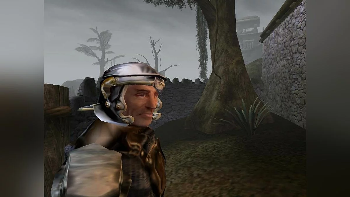 Скриншоты из Elder Scrolls 3: Morrowind / Картинка 14
