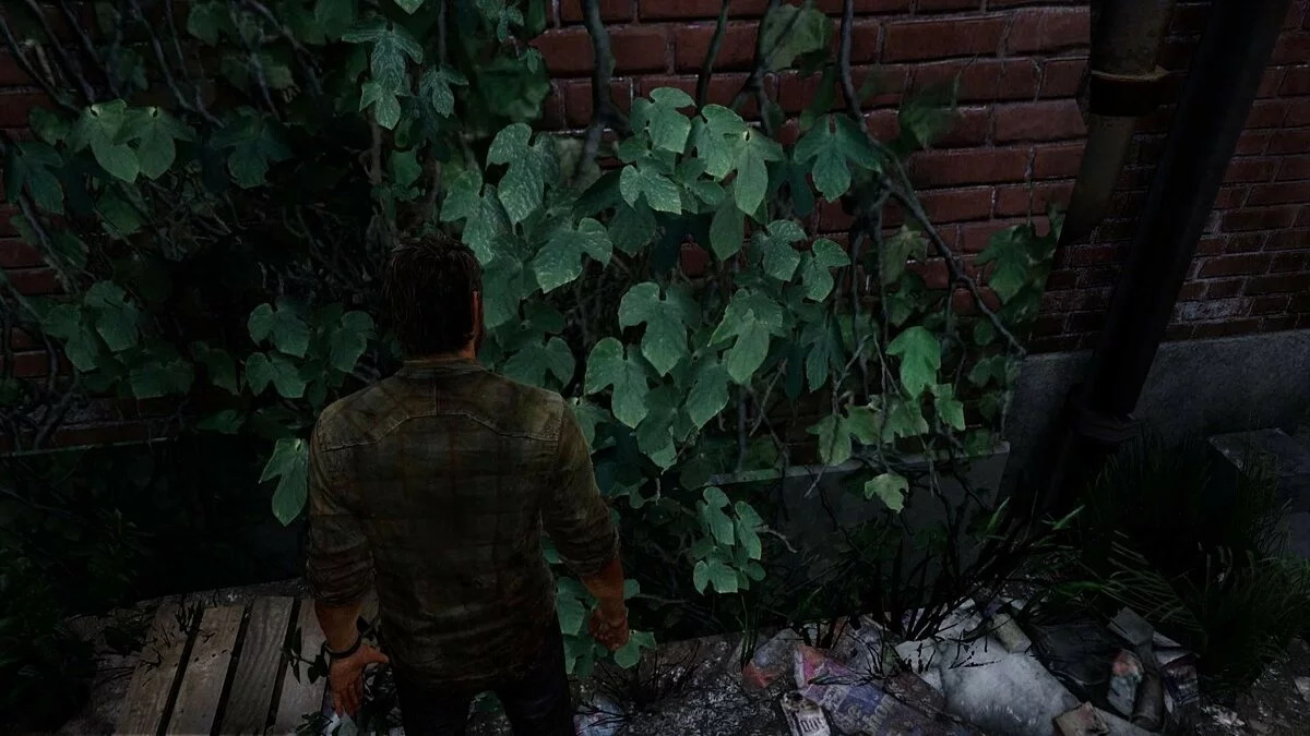 Скриншоты из The Last of Us / Картинка 183