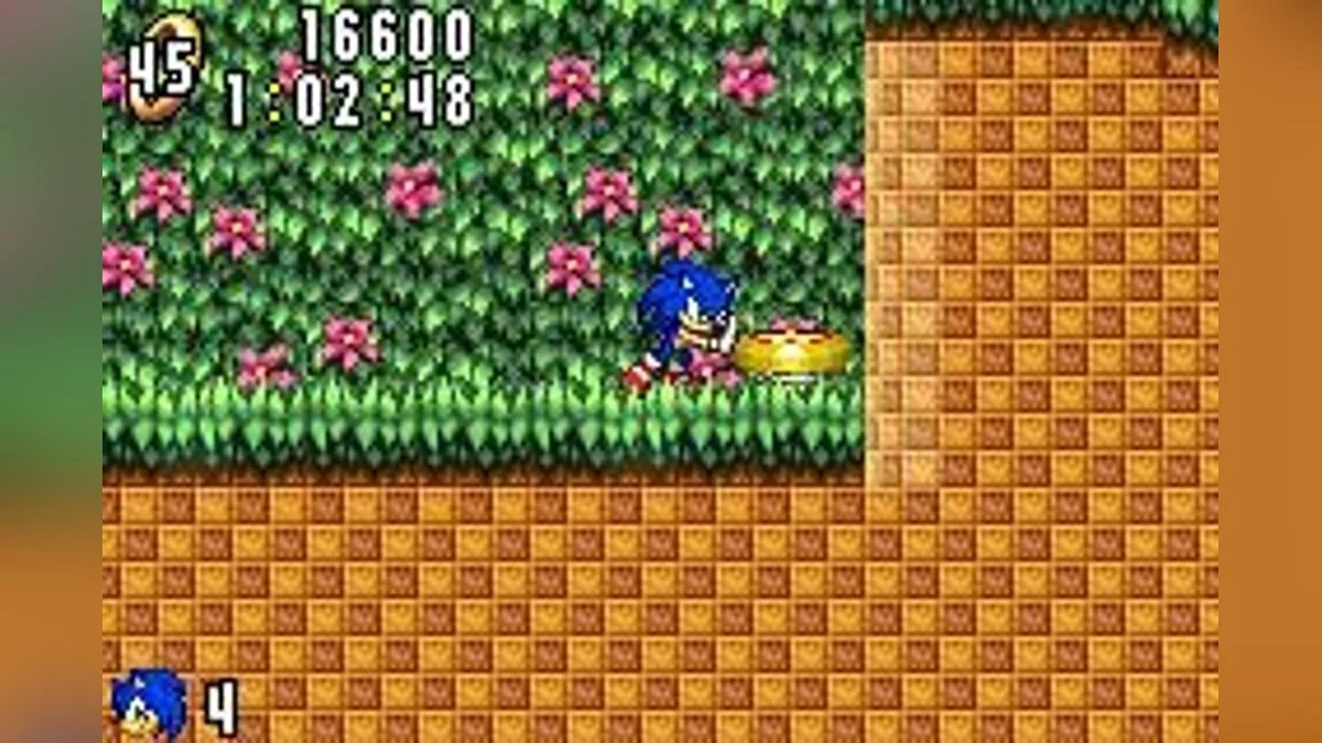 Скриншоты из Sonic Advance / Картинка 73
