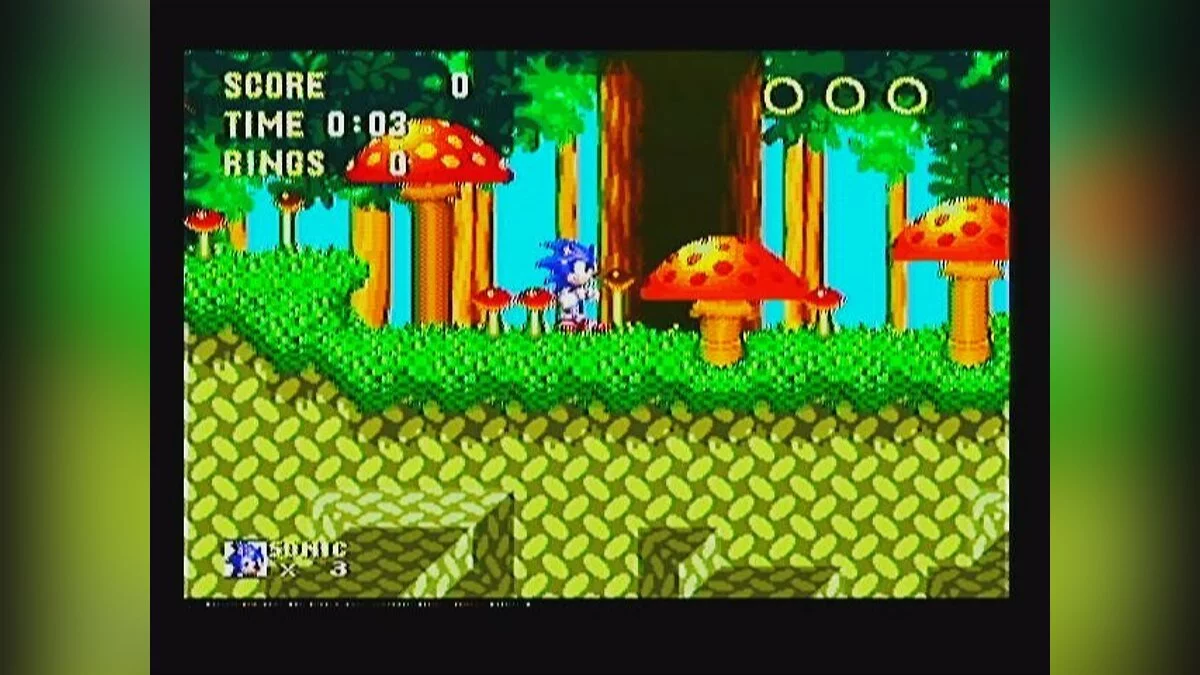 Скриншоты из Sonic & Knuckles / Картинка 71