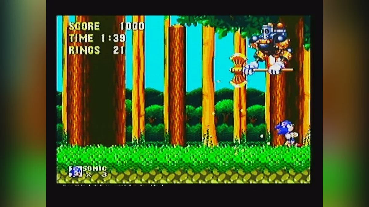 Скриншоты из Sonic & Knuckles / Картинка 72