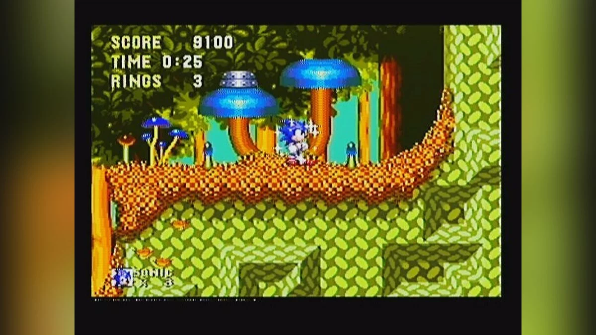 Скриншоты из Sonic & Knuckles / Картинка 75