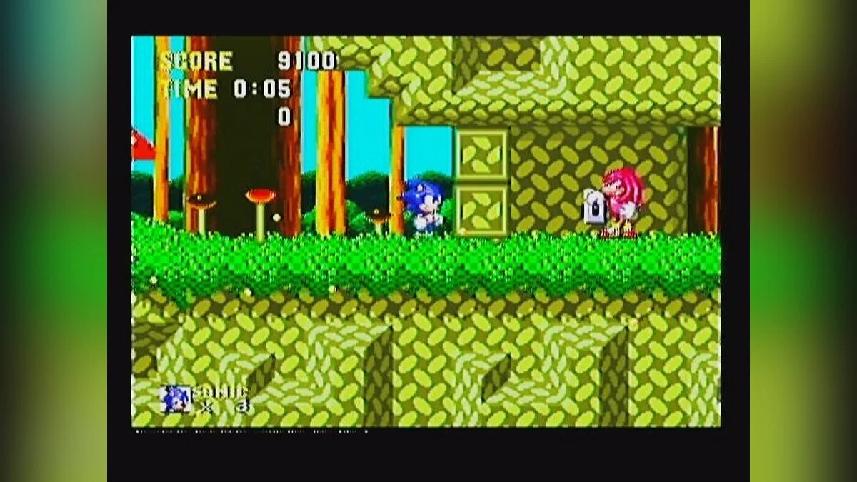 Скриншоты из Sonic & Knuckles / Картинка 74
