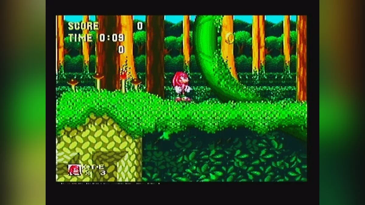 Скриншоты из Sonic & Knuckles / Картинка 79