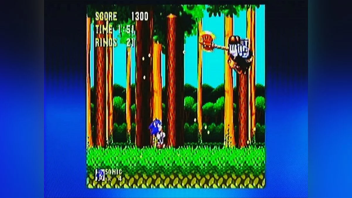 Скриншоты из Sonic & Knuckles / Картинка 105
