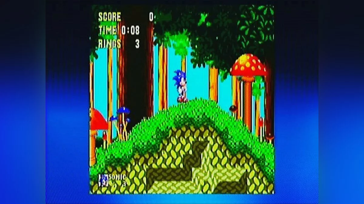 Скриншоты из Sonic & Knuckles / Картинка 104
