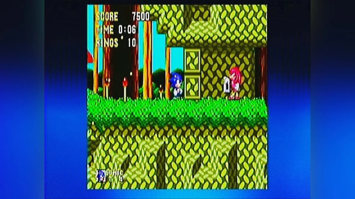 Скриншоты из Sonic & Knuckles / Картинка 107